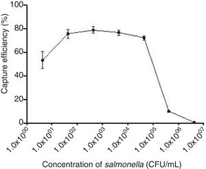 The capture efficiency of the 0.1mg IMBs to S. typhi cultures in different concentrations (CFU/mL).