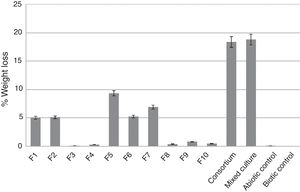 Percentage of latex glove weight loss after incubation with individual isolates, the consortium, and the mixed culture at 30°C for 30 days compared to the abiotic control.