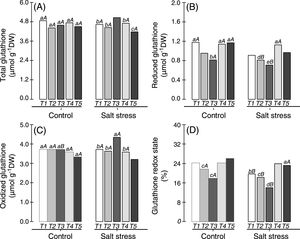 Total (A), reduced (B) and oxidized (C) forms of glutathione and redox glutathione (D) in the nodules of cowpea plants inoculated with Bradyrhizobium (T1) or co-inoculated with Bradyrhizobium and Actinomadura (T2), Bradyrhizobium and Paenibacillus graminis (T3), Bradyrhizobium and Bacillus (T4) or Bradyrhizobium and Streptomyces (T5) in control (non-saline) and salt stress (50mmolL−1 NaCl) conditions. Means followed by the same lowercase letters do not differ statistically between bacterial combinations, whereas uppercase letters represent significant differences between control and salt stress. All mean comparisons were performed using Tukey's test (p<0.05).