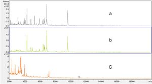 Spectra ranging from 2000 to 20,000m/z: (a) Staphylococcus aureus identified by the direct MALDI-TOF method of an experimentally inoculated milk sample, (b) Staphylococcus aureus identified in the colony (ATCC 29213) by the standard MALDI-TOF protocol using bacterial colonies grown on blood agar, and (c) a quarter milk sample without microbiological growth.