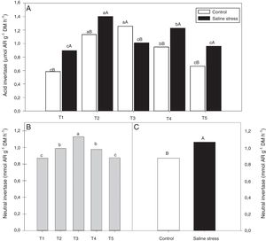 Activity acid invertase (*CV=7.87%) (A) and activity neutral invertase (*CV=4.52%) (B and C) in nodules in cowpea inoculated Bradyrhizobium sp. (T1) or co-inoculated Bradyrhizobium sp. and Actinomadura sp. (T2), Bradyrhizobium sp. and Paenibacillus graminis (T3), Bradyrhizobium sp. and Bacillus sp. (T4) and Bradyrhizobium sp. and Streptomyces sp. (T5), without and with salt stress induction (0 and 50mmolL−1 NaCl). Means followed the same letter lower (bacterial combinations) and capital (cultivation conditions) not differ statistically (p<0.05) according to Tukey's test. *Variation's coefficient.