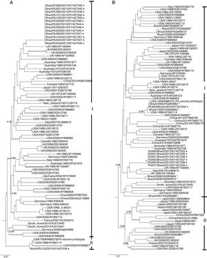 ML trees of feline calicivirus isolated in this study along with most of the FCV prototypes available so far based on the ORF2 nucleotide sequences. (A) Phylogenetic tree of a 467bp partial fragment of the capsid conserved region A-B; (B) phylogenetic tree of a 529bp partial fragment of the capsid variable region C-F. Isolates from this study are represented with black circles and prototypes from Southern Brazil are represented with*.