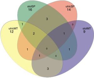 Venn diagram represented by shared UTO's of stolons (stol) and utricules (utric) of U. breviscapa from Mato Grosso (MT) and São Paulo (SP) (dissimilarity of 0.09). Therefore: utricMT: utricules from Mato Grosso, stolSP: stolons from São Paulo, utricSP: utricules from São Paulo and stolMT: stolons from Mato Grosso.