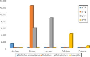 Number of DNA sequences related to the main microorganisms identified in each hydrolase class in the four metagenomes obtained in this study.