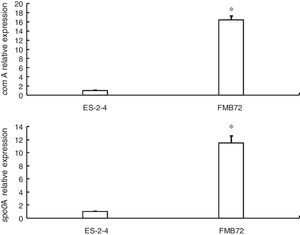 qRT-PCR analysis of mRNA expression of comA and spo0A genes. Asterisks indicate a statistically significant difference (p<0.05) between the parental strain ES-2–4 and recombination strain FMB72.