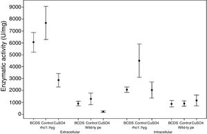 Enzymatic activity in the extracellular and intracellular fractions of wild-type and rho1::hyg of F. oxysporum f. sp. lycopersici strains with or without CuSO4 and with BCDS. The data were grouped by the results of Tukey