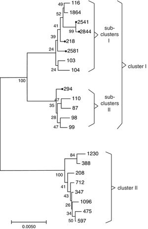Phylogenetic organization of K. pneumoniae isolates of different MLST sequence types (STs) based on neighbor-joining method. Note: The 5 STs determined in this study are indicated by black dot.