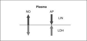 Imagen especular para la actividad de aminopeptidasas (AP) y la concentración de óxido nítrico (NO) en plasma de animales normotensos con lesión del sistema nigroestriatal izquierdo (LIN) e hipertensos con lesión del sistema nigroestriatal derecho (LDH) tras la comparación con sus respectivos grupos de controles sham. Mientras que en LIN el NO aumenta y las AP disminuyen, en LDH el NO disminuye y las AP aumentan.