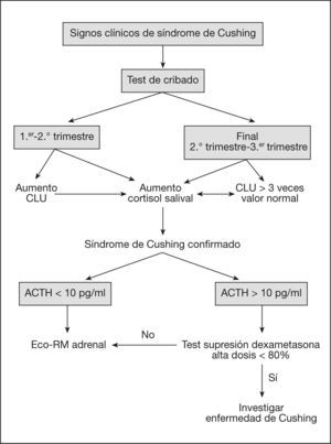 Algoritmo de sospecha de síndrome de Cushing en el embarazo. ACTH: corticotropina; CLU: cortisol libre urinario; RM: resonancia magnética.