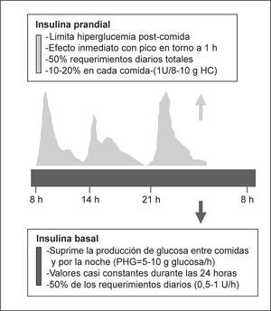 Secreción fisiológica de insulina. PHG: producción hepática de glucosa.