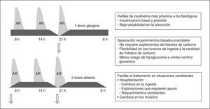 Características y ventajas de las pautas de insulina que diferencian los requerimientos basales y prandiales (pautas basal-bolus).