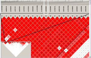 Representación de la distribución de bloques haplotípicos del gen FTO. El haplotipo es un conjunto de polimorfismos de un solo nucleótido existentes de manera contigua en una sola cromátida. Se encuentran asociados en porcentajes identificados y/o calculados de individuos, heredándose en grupos con índices conocidos.