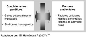 Factores implicados en el desarrollo de la obesidad.