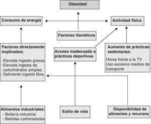 Marco conceptual sobre los principales factores implicados en la obesidad. Adaptado de: González E, 201037.