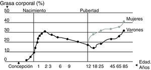 Cambios en la composición grasa a lo largo de la vida. Adaptada de: Warren y Shangold50.