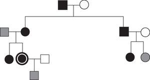 Árbol genealógico de la familia presentada. Círculo: mujeres; Cuadrado: hombres; Negro: pacientes afectados; Sombreado: no afectados.