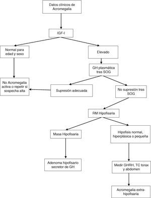 Algoritmo diagnóstico de la acromegalia. SOG: sobrecarga oral de glucosa. Modificado a partir de: Cordero RA, Barkan AL. Diagnosis of acromegaly. Endocr Metab Disord. 2008;9:13-19, y Giustina et al.6