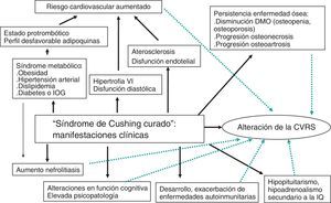 Representación esquemática de las posibles manifestaciones y consecuencias clínicas a pesar de la «curación» del hipercortisolismo.CVRS: calidad de vida relacionada con la salud; IG: intolerancia oral a la glucosa; IQ: intervención quirúrgica; VI: ventrículo izquierdo.