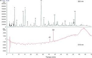 Componentes totales fenólicos y flavonoides estimados con cromatografía líquida de alta eficacia o high performance liquid chromatography (HPLC) a partir de extracto de flores secas de Hibiscus sabdariffa. Los componentes totales fenólicos y flavonoides se estimaron como 58,8±1,34mg y 13,57±0,65mg por gramo de flores secas, respectivamente63. 1 ácido hibiscus, 2 ácido hibiscus éster 6-metilo, 3 ácido gálico, 4 no identificado, 5 5hidroximetilfurfural, 6 ácido protocatéquico, 7 5-ácido caffeoylquinic, 8 feruloil derivatived, 9 ácido clorogénico, 10 4-ácido caffeoylquinic, 11 ácido cafeico, 12 ester galoil, 13 feruloil quinico derivatived, 14 kaempferol-3-glucósido, 15 quercetina derivatived, 16 tilirosida, Al delfinidina-3-sambubiosido, A2 cianidina-3-sambubiosido.