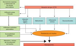Mecanismos fisiopatogénicos de la alteración del metabolismo hidrocarbonado en la CF. Adaptado de: O’Riordan et al.4