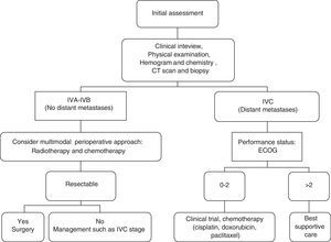 Decision algorithm for the therapeutic approach of anaplastic thyroid carcinoma. CT, computed tomography; ECOG, Eastern Cooperative Oncology Group, quality of life test.
