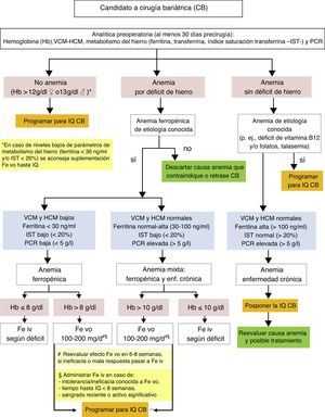 Valoración y tratamiento de la anemia por déficit de hierro precirugía bariátrica. Ej: ejemplo; Fe iv: hierro intravenoso; Fe vo: hierro vía oral; H: hombres; IQ: intervención quirúrgica; M: mujeres; mg/d: miligramos/día.