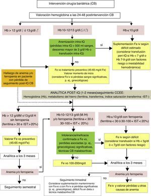 Valoración y tratamiento de la anemia por déficit de hierro poscirugía bariátrica. Ej: ejemplo; Fe iv: hierro intravenoso; Fe vo: hierro vía oral; H: hombres; IQ: intervención quirúrgica; M: mujeres, mg/d: miligramos/día.