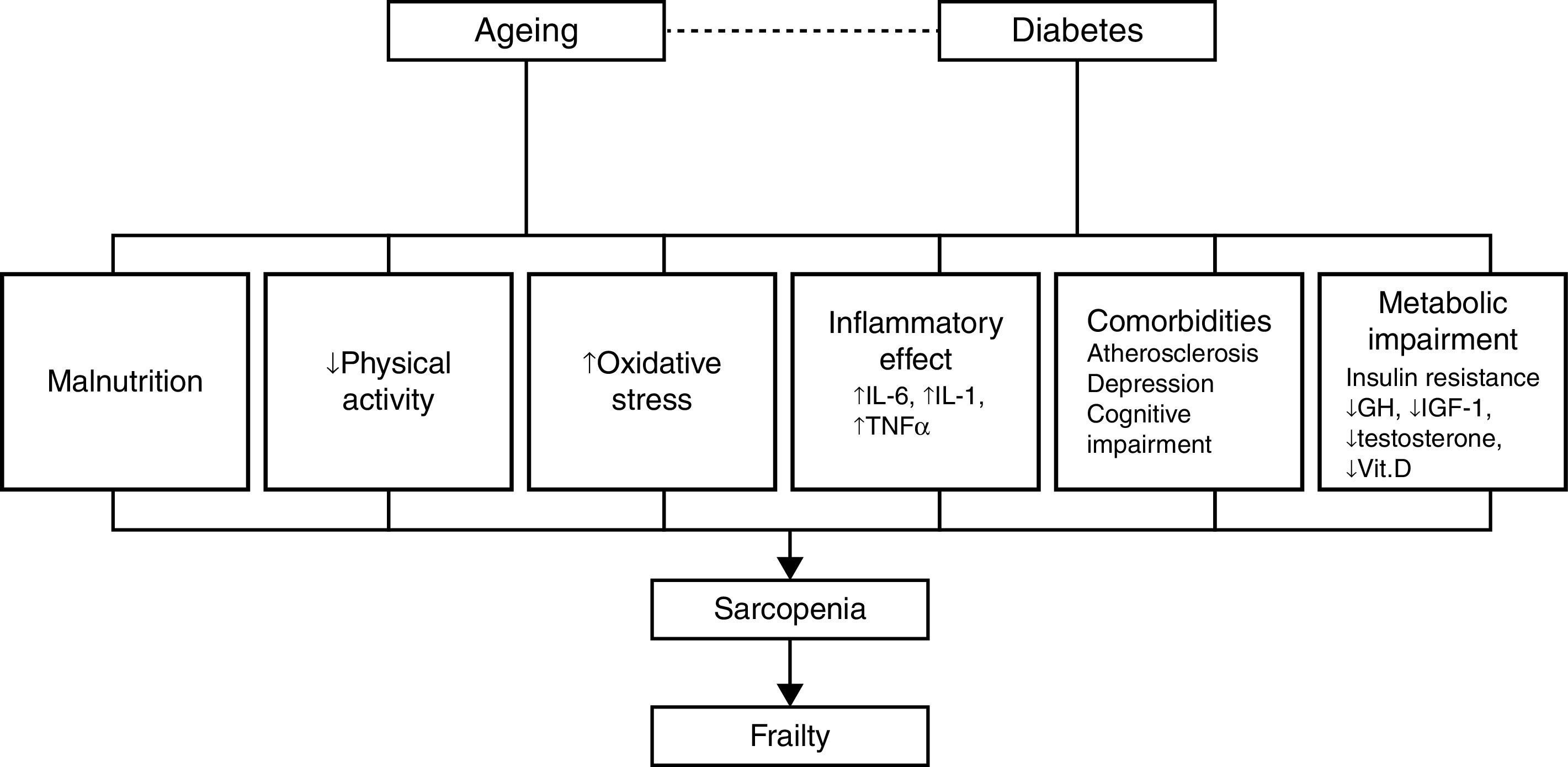 Impact of frailty in older patients with diabetes mellitus: An overview ...