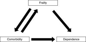Relation between frailty, comorbidity, and dependence.