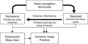 Génesis de la obesidad sarcopénica y su influencia sobre el metabolismo o¿seo.
