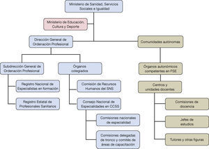 Esquema de la estructura y ordenación de la formación sanitaria especializada en Ciencias de la Salud en España. CCSS: Ciencias de la Salud; FSE: formación sanitaria especializada; SNS: Sistema Nacional de Salud.