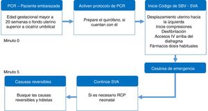 Protocolo de parto perimortem. Fuente: Sáenz Madrigal6.