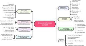 Características clínicas del síndrome de Down.