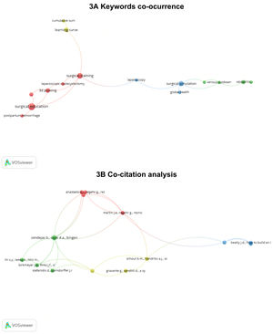 Conceptual (3A) and intellectual structure (3B) in the research field of low-cost simulation in health professions education from 2003 to 2022 in the Scopus database.