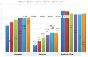 Burn-out subscales according to academic year.
