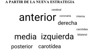 Arterias que codificaron las estudiantes a partir de la nueva estrategia. Fuente: autoría propia.