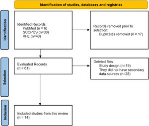 Flowchart of the review steps.