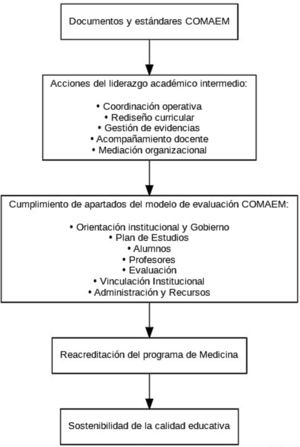 Diagrama de flujo del liderazgo académico intermedio en el proceso de reacreditación médica conforme al modelo COMAEM. Fuente: elaboración propia basada en Informe de Autoevaluación 2025.
