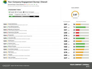 Example of a results report from Q12 scale Gallup Inc.
