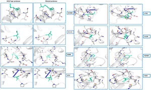 (a) Secondary structure prediction of NSP5 protein. Effect of mutation at different sites on the secondary structure of protease protein (A–H). The first secondary structure in each (A–F) represents the Wuhan type sequence while the second represents the mutated one. The mutation location and respective secondary structures are marked with boxes. (b) Mutational effect on structural dynamics of protease protein. Blue represents rigidification, whereas red represents gain in flexibility upon mutation. (c) Effect of point mutation on interatomic interactions of NSP5 protein. Interatomic interactions were altered by mutations at different locations. Wild type amino acid residues are colored in light green and represented as stick with the surrounding residues where any interactions exist. (For interpretation of the references to color in this figure legend, the reader is referred to the web version of this article.)