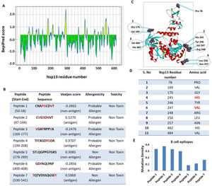 Prediction of B-cell epitopes of Nsp13. Linear continuous epitopes, A) The Y-axis of the graph corresponds to BepiPred score, while the X-axis depicts the Nsp13 residue positions in the sequence. The yellow area of the graph corresponds to the area of the protein having higher probability to generate epitope. B) The top seven peptides of Nsp13 having at least 8 amino acids are shown with vaxijen score. The red font shows the location of mutant residues in the epitope sequence. C) Prediction of discontinuous B-cell epitopes. The position of each predicted epitope on the 3D structural surface of Nsp13 was denoted using Biovia Discovery Studio.42 The discontinuous B-cell epitopes and its position is depicted in the 3D structure of Nsp13 protein. We observed four clusters that include few amino acids that are adjacent to each other in the 3D structure. Namely, cluster 1 (V169, G170), cluster 2 (H245, T246, V247, R248), cluster 3 (L256, N257) and cluster 4 (H482, V484). These clusters are highlighted in fig. D) The location and identity of each discontinuous epitopes of Nsp13. E) Analysis of mutation density of each continuous B cell epitope. We calculated the mutation density of epitopes by using the formula: Mutation density = No. of total mutations/length of the epitope. The values were normalised to 1 as the highest possible value and 0 as the lowest possible value. (For interpretation of the references to colour in this figure legend, the reader is referred to the web version of this article.)