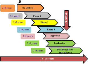 Phases in vaccine development.