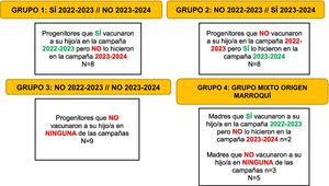 Organización de los diferentes grupos focales incluidos en el estudio. n = número de participantes por subgrupo; N = número de integrantes del grupo focal.