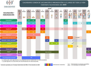 Calendario común de vacunación e inmunizaciones a lo largo de toda la vida. Calendario recomendado para el año 202519.