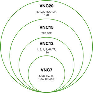 Representación de los serotipos incluidos en cada una de las vacunas antineumocócicas conjugadas desde la VNC7 hasta la VNC20.