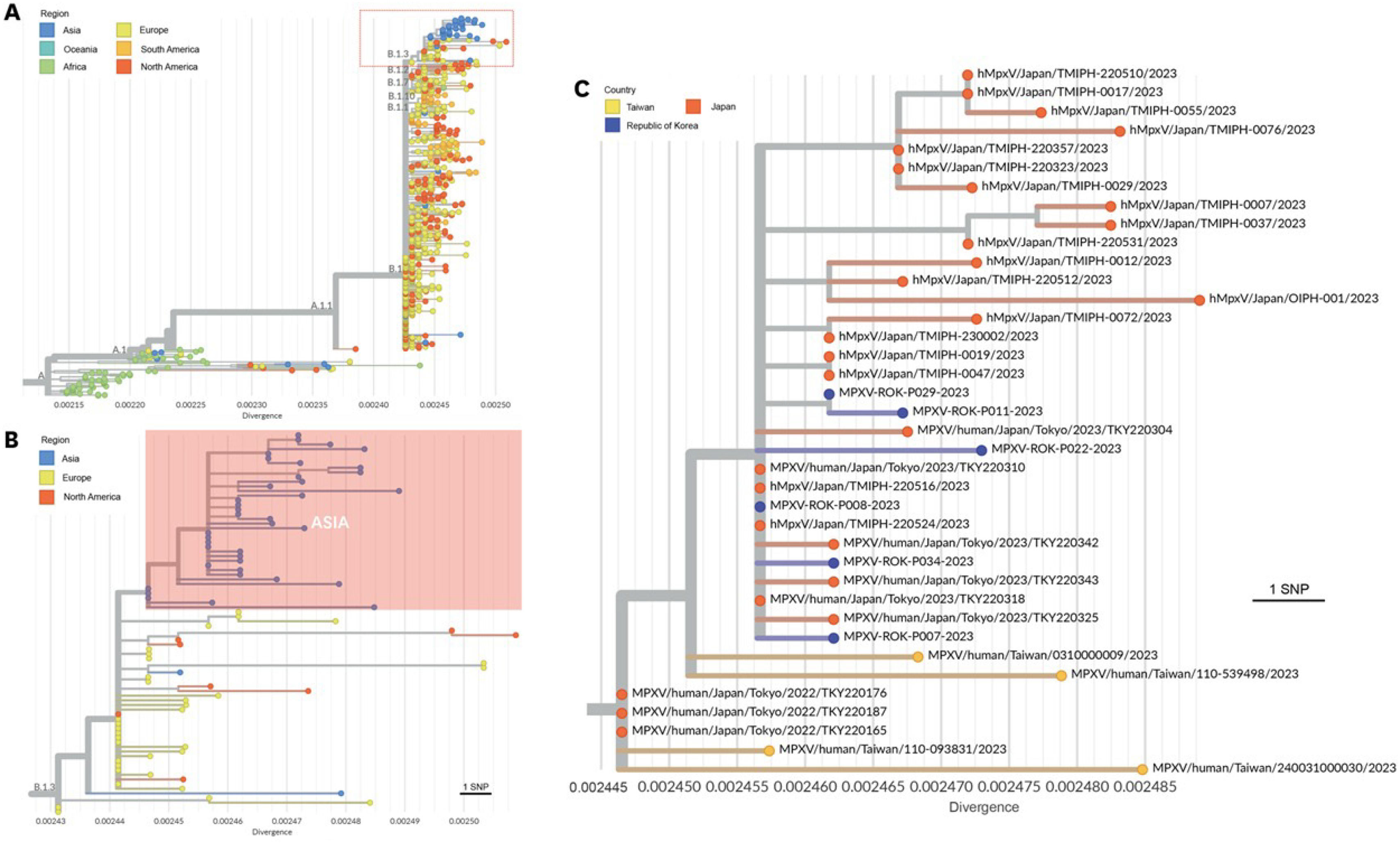 Transmission dynamics and evolution of Monkeypox virus (MPXV) during ...