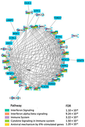 Red de interacción directa proteína: proteína (PPI) aplicando los DEG, en respuesta a la vacuna BNT162b2 el día 22. Hajio R. et al 2022156.