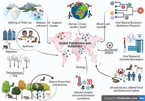 Pictorial representation of various factors resulting in global viral pandemics. Environmental changes like global warming may increase global temperature releasing new viruses entrapped in the polar ice. Such novel viruses may emerge and result in a dreadful global pandemic. Change in the ecology or environmental conditions due to human activities such as deforestation or fire alter the nature–host–virus interactome and forces the animal to migrate to the urban area resulting in interspecies transmission or spill-over resulting in the spread or global outreach of newer or recombinant viral pathogen pandemic. Viruses also undergoing continuous evolution for fitness or under vaccine pressure evolve to evade the immune system and to form more virulent strains resulting in widespread pandemics such as SARS-CoV-2 Omicron sub-variant. Cross-country travel and viral research may result in the dissemination of the virus across the border either by commuting from an endemic to a new or non-endemic country, by war or bioweapon, or through accidental leakage. Unusual transmission has been reported in MPX through unnatural sex or altered food habits or behavioral habits where different exotic animals have been eaten, which may contain viruses like bats. Also export or import of such infected food creates the possibility of future pandemics.