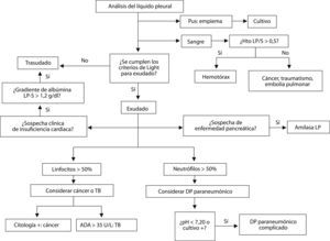 Algoritmo diagnóstico del derrame pleural mediante el análisis del líquido pleural. ADA, adenosina desaminasa; DP, derrame pleural; Hto: hematocrito; LP/S: cociente entre líquido pleural y suero; LP-S: gradiente (resta) entre líquido pleural y suero.