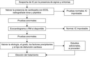Algoritmo diagnóstico de la insuficiencia cardiaca. ECG: electrocardiograma; IC: insuficiencia cardiaca; RM: resonancia magnética. Adaptado de Remme y Swedberg26.